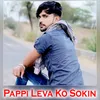 About Pappi Leva Ko Sokin Song